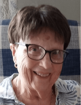 Dena Ann Wilkins Obituary